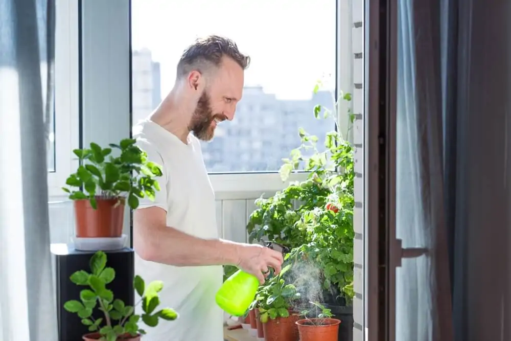 Homem cuidando de plantas borrifando água