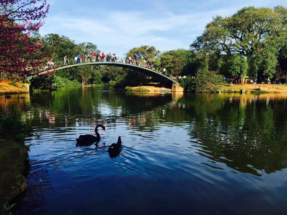 Parque Ibirapuera em São Paulo [guia completo]