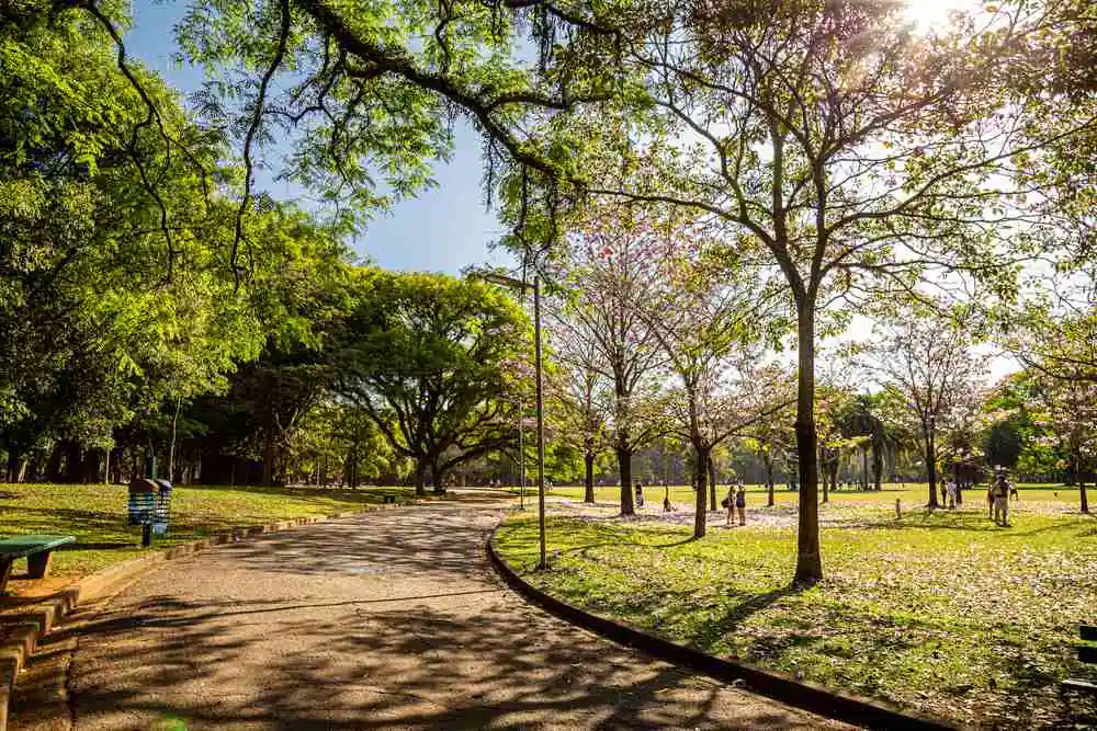 Parque Ibirapuera em São Paulo [guia completo]
