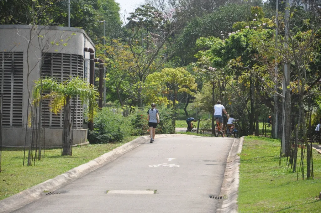 Caminho arborizado no parque com pessoas caminhando e pedalando em dia ensolarado, ideal para quem busca lazer ao ar livre e contato com a natureza.